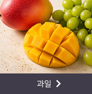 과일