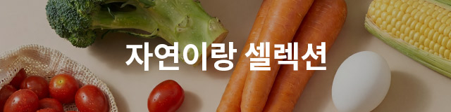 셀렉션 TOP
